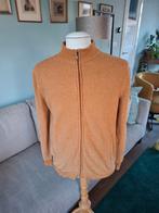 Vest van Baileys maat L, Kleding | Heren, Truien en Vesten, Maat 52/54 (L), Blauw, Baileys, Ophalen of Verzenden