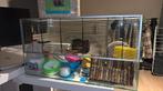 Hamsterkooi van glas met alle toebehoren, Dieren en Toebehoren, Kooi, Zo goed als nieuw, Hamster, 75 tot 110 cm