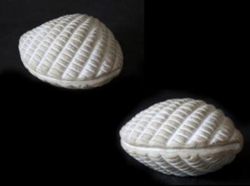 Urn steen schelp of zeester diverse maten vanaf 22,95 beschikbaar voor biedingen