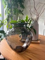 IKEA TONSÄTTA Vaas, Ophalen, Overige kleuren, Minder dan 50 cm, Glas