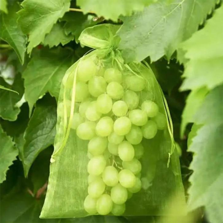 Fruithoezen voor druiven en ander fruit, Hobby en Vrije tijd, Overige Hobby en Vrije tijd, Zo goed als nieuw, Ophalen