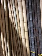 Bonenstokken Tonkin bamboepalen bamboestokken, Tuin en Terras, Palen, Balken en Planken, Nieuw, Overige typen, Ophalen of Verzenden