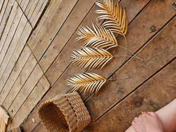 Gouden bruiloft pluimen of decoratie en 2 kleine Mandjes  beschikbaar voor biedingen
