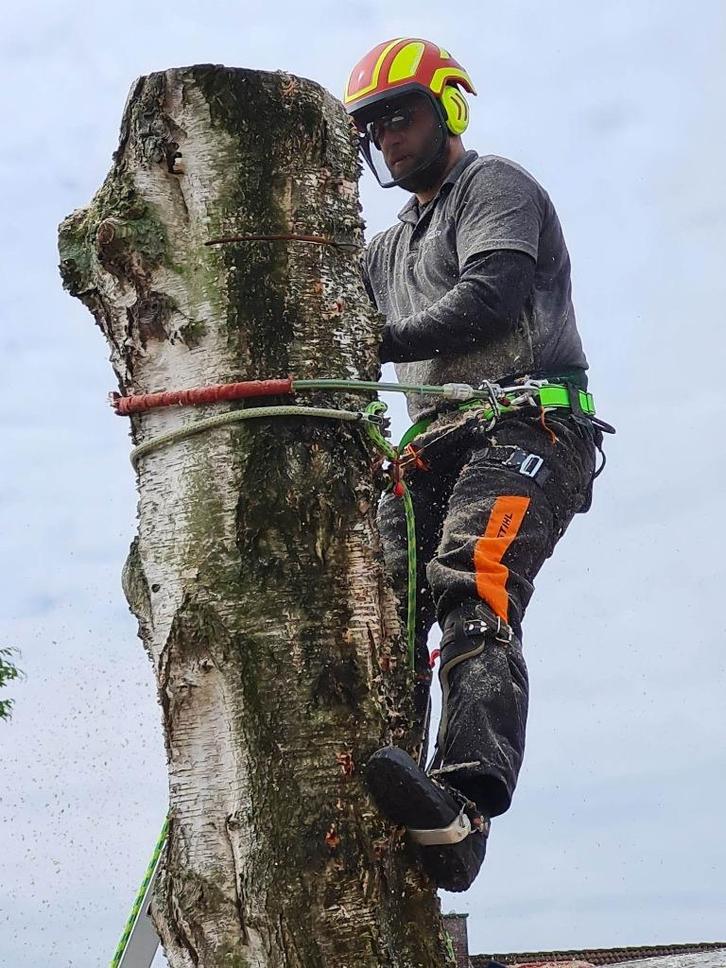 Bomen verwijderen, Diensten en Vakmensen, Tuinmannen en Stratenmakers, Tuin- of Vijveraanleg, Tuinonderhoud of Snoeiwerk, Tuinontwerp