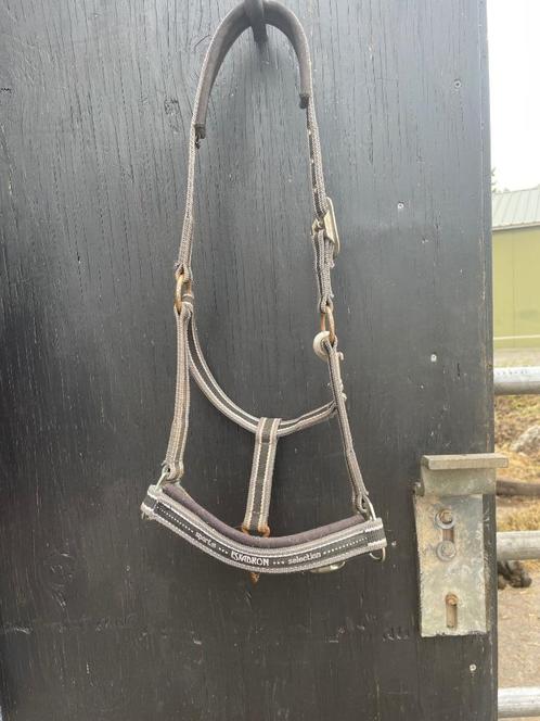 Ponyhalsters, Dieren en Toebehoren, Paarden en Pony's | Hoofdstellen en Tuigage, Gebruikt, Overige soorten, Ophalen of Verzenden