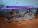 Terrarium, Dieren en Toebehoren, Kooi, Gebruikt, Hamster, 75 tot 110 cm
