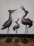 Decoratie vogels, Ophalen