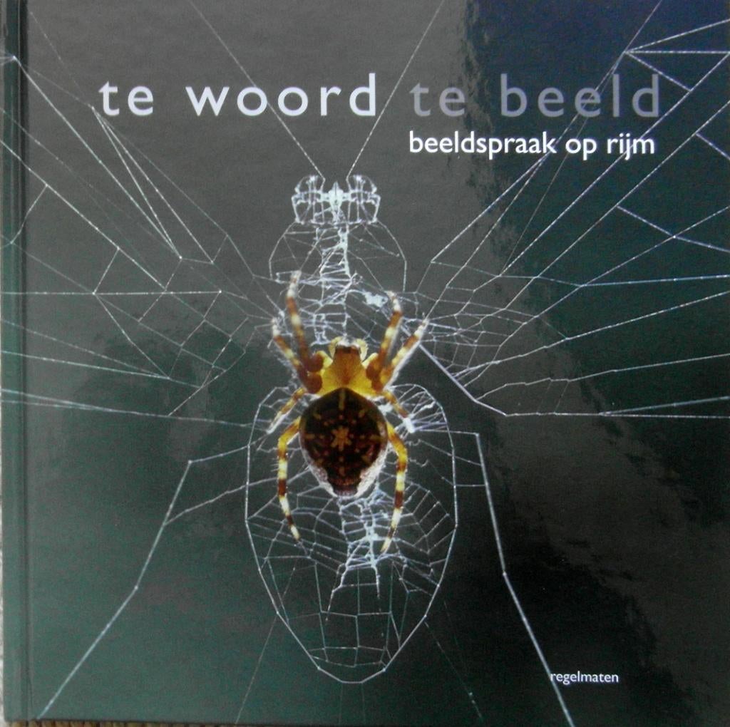 Te woord te beeld / beeldspraak op rijm, Ophalen of Verzenden, Zo goed als nieuw