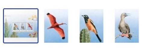 Postset van de serie Beleef de natuur-vogels Bonaire korting, Tickets en Kaartjes, Kortingen en Cadeaubonnen, Eén persoon, Overige typen