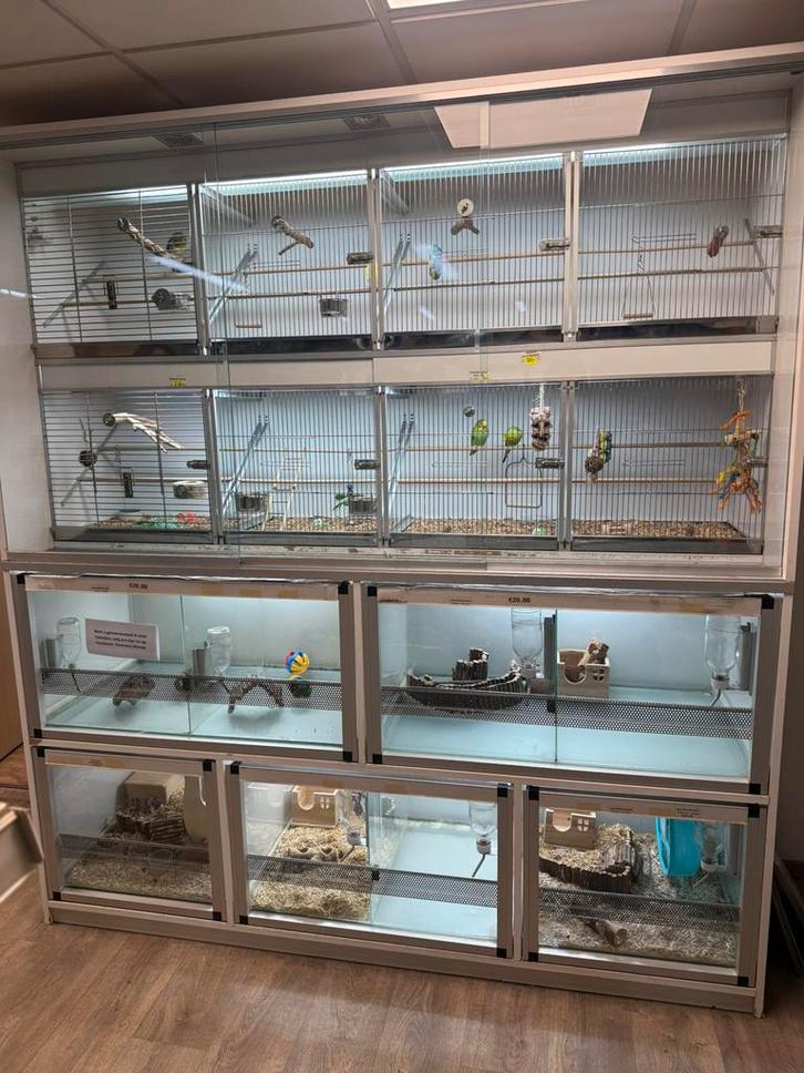 Vogel knaagdier stelling, Dieren en Toebehoren, Vogels | Hokken en Kooien, Gebruikt, Vogelkooi, Hout, Ophalen