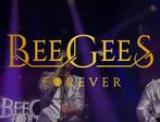 Gezocht 2 kaartjes Beegees royal park live 14 juli, Tickets en Kaartjes, Concerten | Overige, Juli