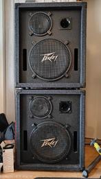 Peavy ES-315 Speakers 500 watt, Audio, Tv en Foto, Luidsprekers, Gebruikt, 120 watt of meer, Front, Rear of Stereo speakers, Ophalen