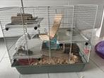 Hamster + kooi, Kooi, Minder dan 75 cm, Zo goed als nieuw, Hamster