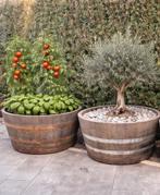 plantenbak xl wijnvat whiskyvat waterplantenbak vijvertje, Ophalen, Rond, Zo goed als nieuw, 60 tot 100 cm