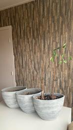 3 plantenbakken, Steen, Minder dan 30 cm, Rond, Ophalen of Verzenden