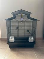 Complete vogelkooi, Dieren en Toebehoren, Vogels | Hokken en Kooien, Ophalen of Verzenden, Zo goed als nieuw, Metaal, Vogelkooi