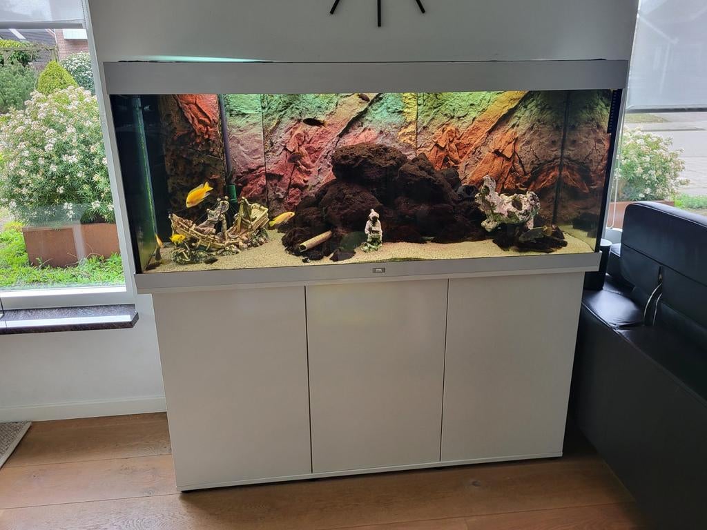 Compleet! Juwel Aquarium Rio 450 - 151x51x66 cm - Aquarium, Dieren en Toebehoren, Ophalen, Inclusief toebehoren
