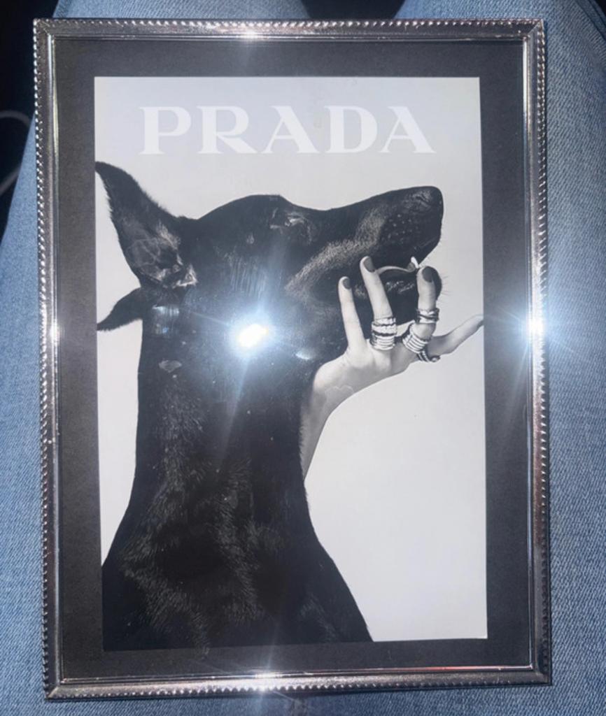 Prada Dobermann Lijst - Stijlvolle Wanddecoratie, Huis en Inrichting, Minder dan 50 cm, Gebruikt, 50 tot 75 cm, Metaal of Aluminium