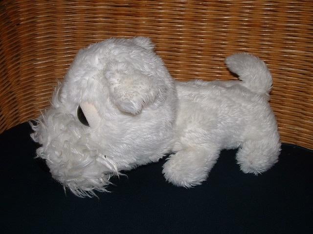 ARTLIST INTERNATIONAL HOND MET GROOT HOOFD. ZACHTE, Ophalen of Verzenden, Nieuw, Overige typen