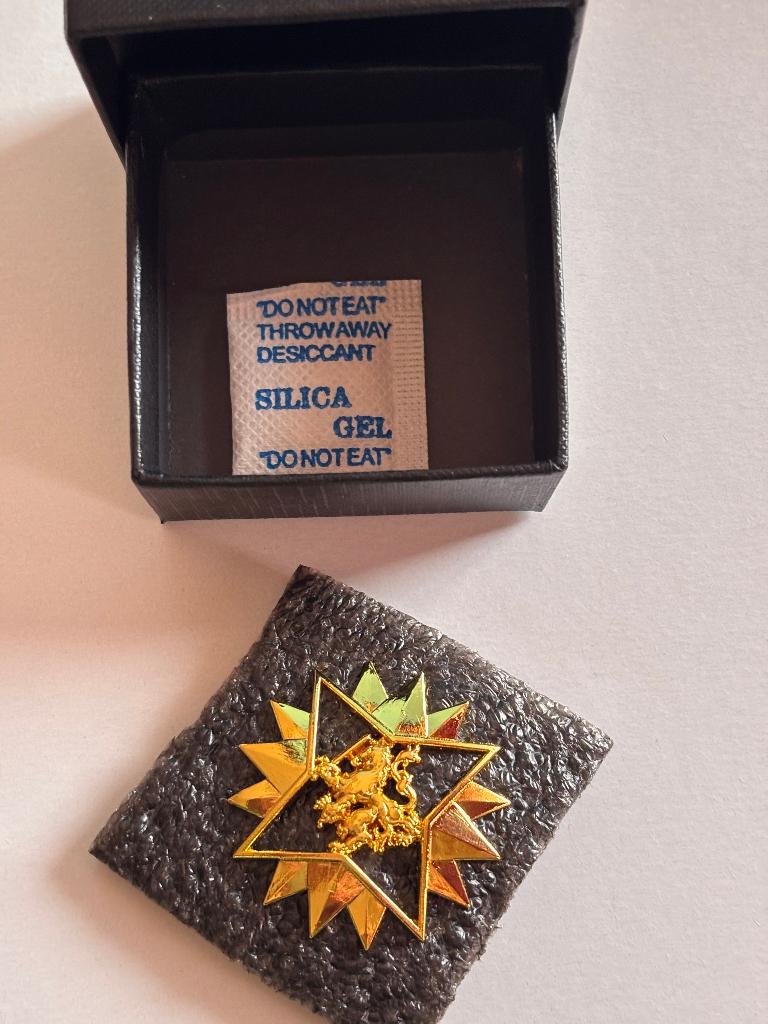 HMV speld in doosje, Verzenden, Landmacht, Nederland, Kleding of Schoenen