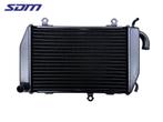 RADIATEUR Honda GL 1800 (01-1970/-) (19060-MCA-A61), Gebruikt