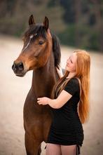 Liefste D pony te koop, Ruin