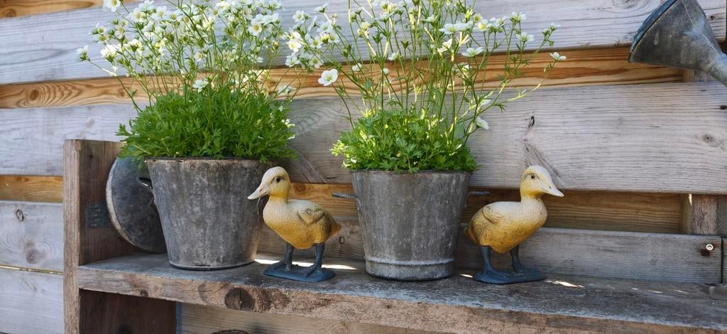 2 decoratie eendjes, Ophalen of Verzenden
