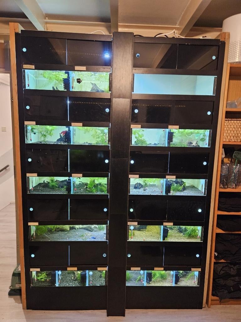 20 aquaria garnalen/vissen kweekkast/stelling, incl alles!, Dieren en Toebehoren, Vissen | Aquaria en Toebehoren, Ophalen, Inclusief vissen