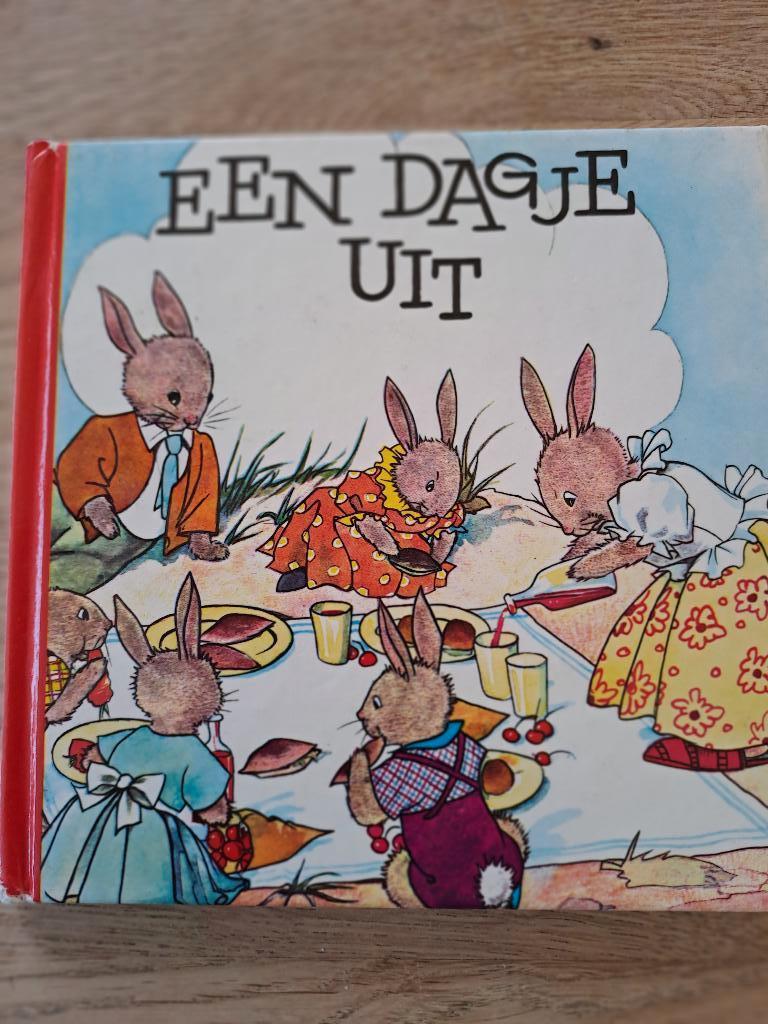 NANS VAN LEEUWEN. EEN DAGJE UIT. KONIJNTJES., Gelezen, Fictie algemeen, Jongen of Meisje, Voorleesboek