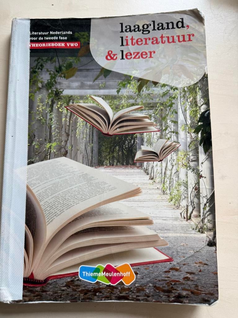 Laagland, literatuur & lezer - Theorieboek VWO, Ophalen, Alpha, Zo goed als nieuw