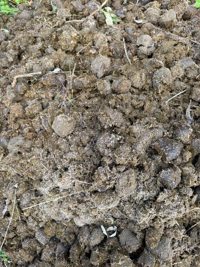 Gratis paardenmest wekelijks ophalen Lage Zwaluwe, Ophalen