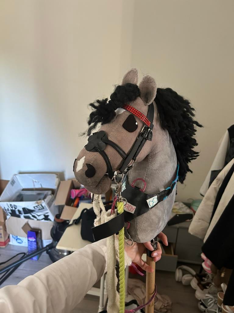 Hobby horse van kht.viento, Ophalen of Verzenden, Gebruikt, Overige soorten