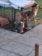 Konijnen hok met ren, Dieren en Toebehoren, Ophalen, 110 cm of meer, 90 cm of meer, Konijn