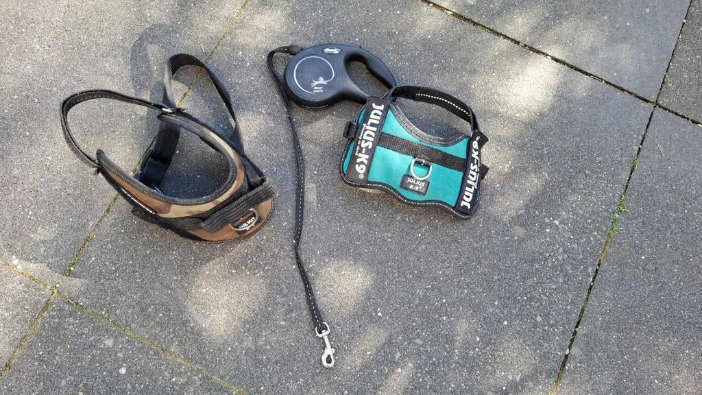 Powerharness voor pup of kleinere honden, Dieren en Toebehoren, Honden-accessoires, Ophalen