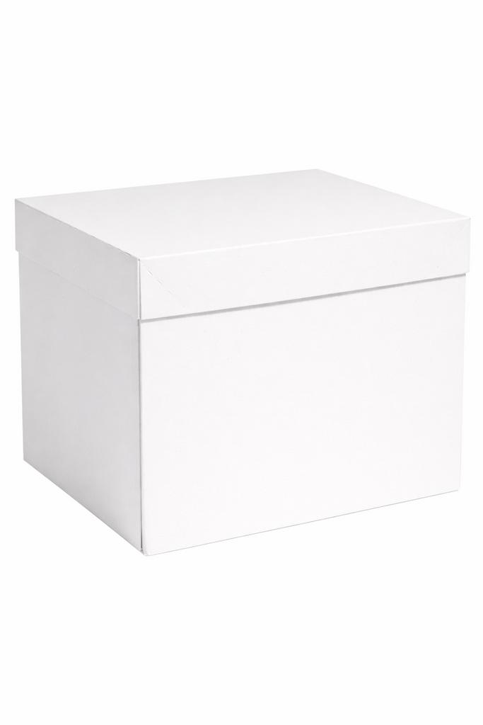 Witte doos met deksel op aanvraag 70cm x 70cm x 70cm, Ophalen of Verzenden