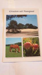 1199 nederland groeten uit nunspeet, Verzenden, Voor 1920, Gelderland