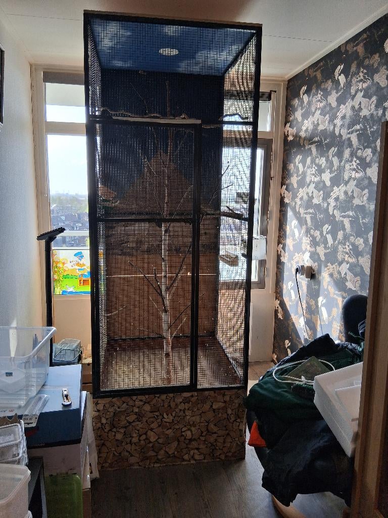 Binnenvoliere, Dieren en Toebehoren, Ophalen, Gebruikt, Metaal, Vogelkooi