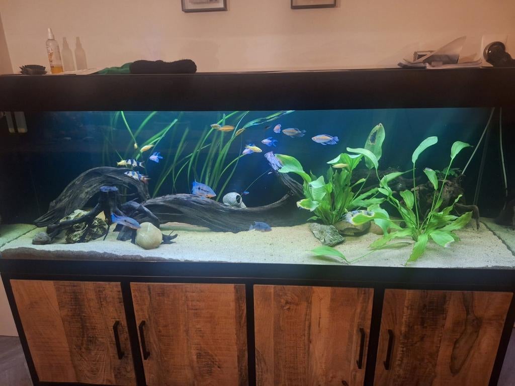 Custom Aquarium 200*60*60cm, Ophalen, Zo goed als nieuw, Leeg aquarium