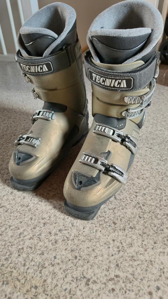 Technica skischoenen maat 45, 160 tot 180 cm, Gebruikt, Schoenen, Ophalen