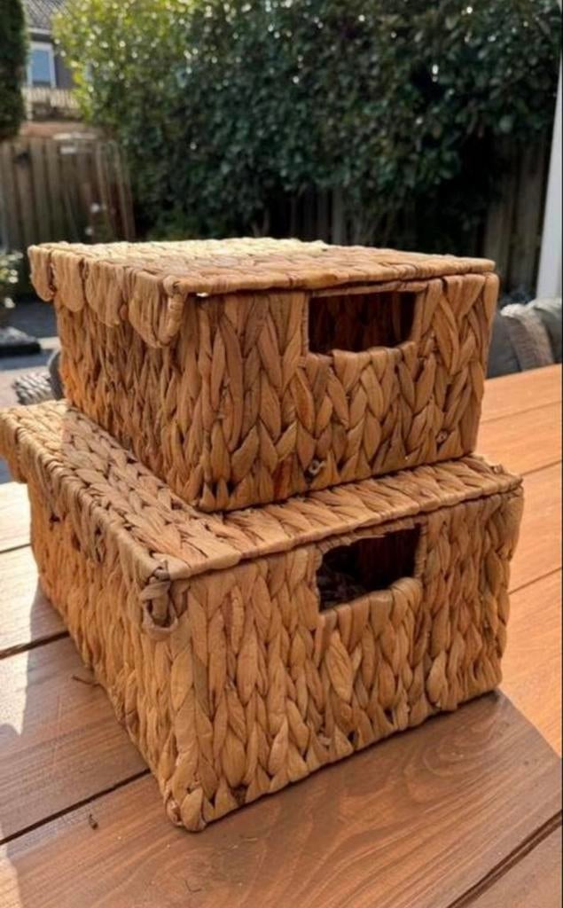 Set van 2 rieten manden met deksel, Huis en Inrichting, Gebruikt, Mand, Ophalen of Verzenden, Riet