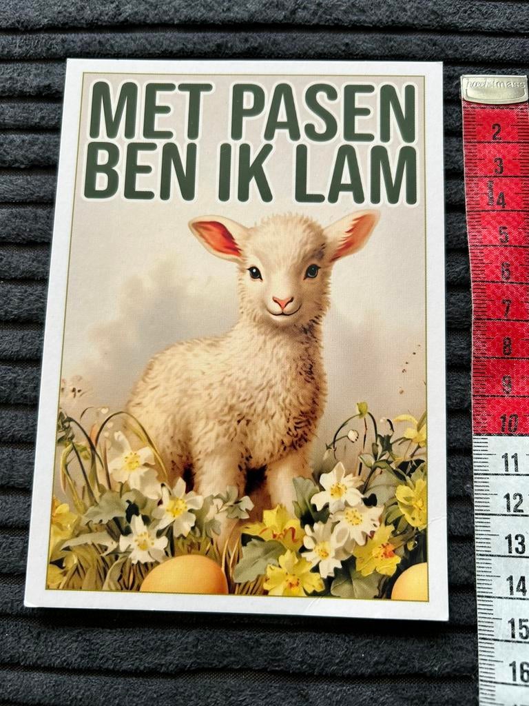 1655. Boomerangkaart Pasen Lam, Ophalen of Verzenden, Ongelopen