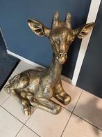 Zittende giraf, Ophalen, Nieuw, Dier