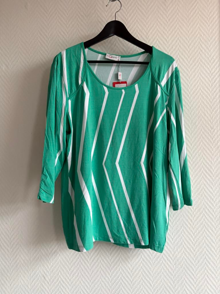 No  Secret Maat 46, Maat 46/48 (XL) of groter, Nieuw, Ophalen of Verzenden, Lange mouw