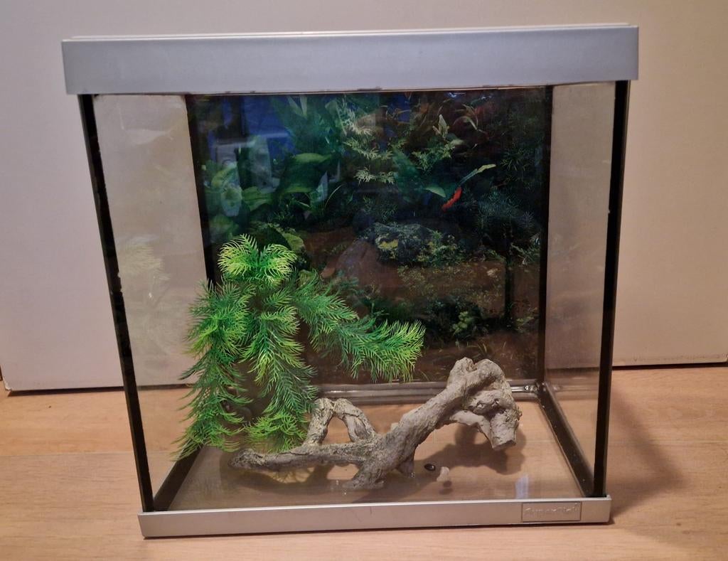 Aquarium, Dieren en Toebehoren, Vissen | Aquaria en Toebehoren, Ophalen, Leeg aquarium