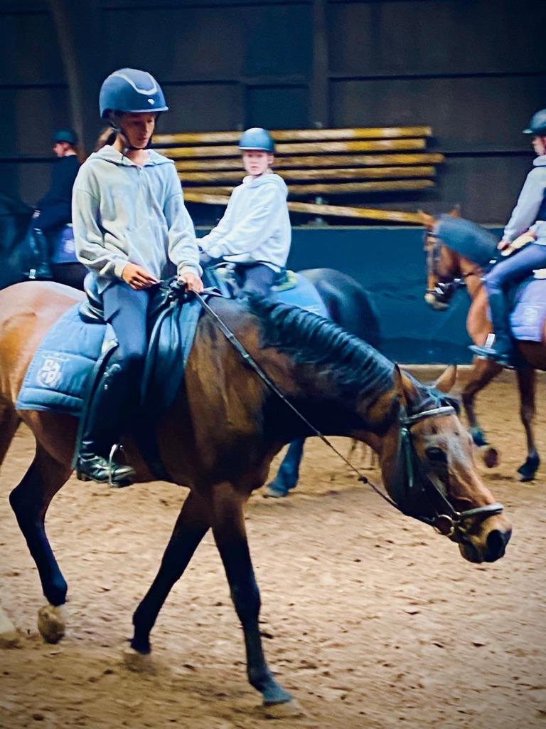 verzorgpony gezocht, Ophalen of Verzenden