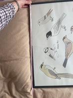 Ikea poster met vogels en lijst, Gebruikt, Ophalen of Verzenden, Foto of Poster, 75 cm of meer