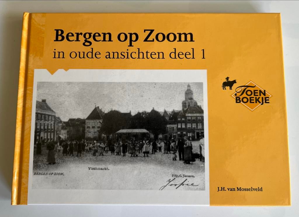 Bergen op Zoom in oude ansichten deel 1, Boeken, Geschiedenis | Stad en Regio, Ophalen of Verzenden, 20e eeuw of later, Zo goed als nieuw