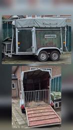 Leuke klein ponny schaap ect.vee-trailer, Dieren en Toebehoren