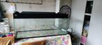 Terrarium voor hamster/hamsterscaping, 75 tot 110 cm, Ophalen, Minder dan 60 cm, Hok