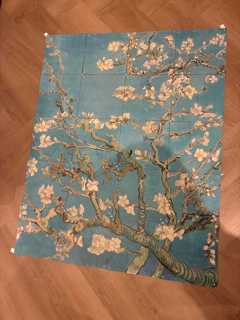 Ixxi Amandelbloesem Van Gogh, Antiek en Kunst, Ophalen of Verzenden